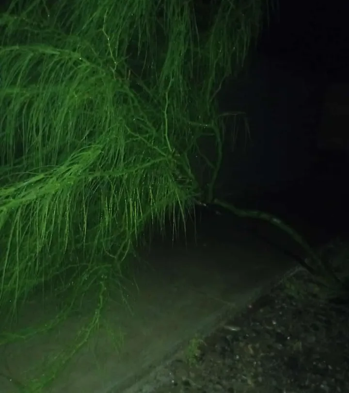 Screenshot_20250302-051300~2