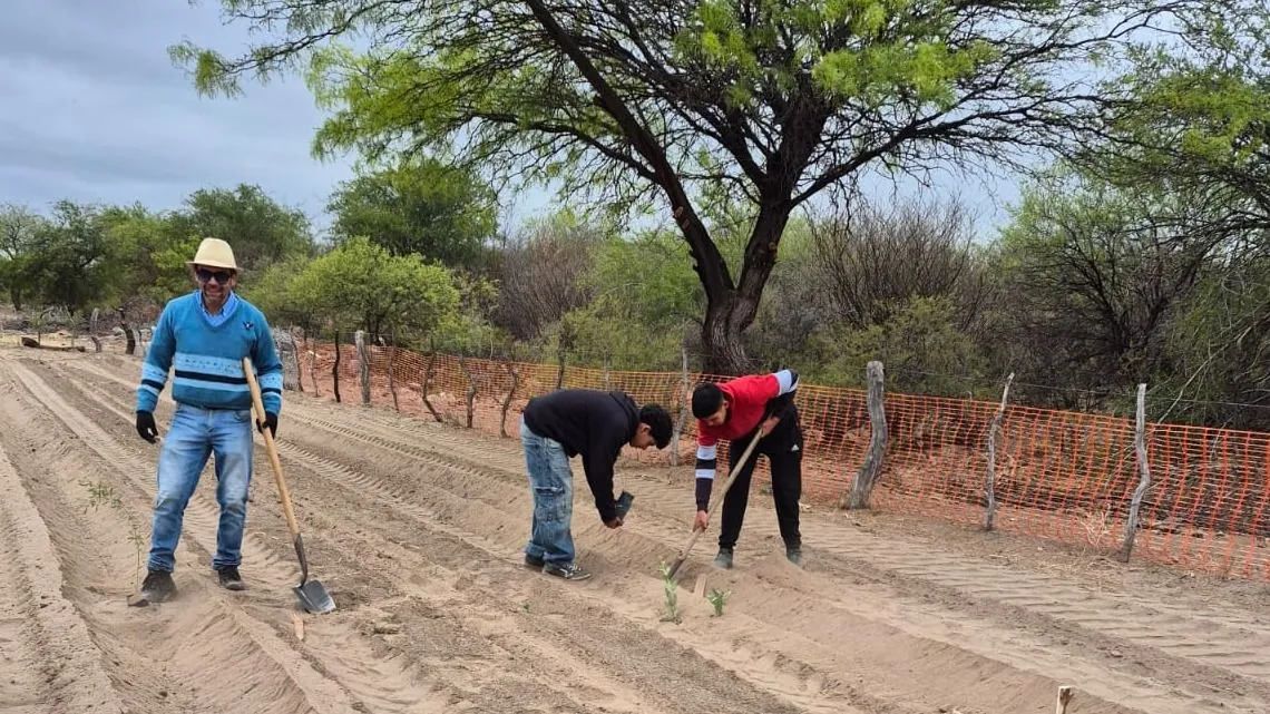 6a0b8da6-4226-4235-903a-ddf5ddd812e8-jpeg.