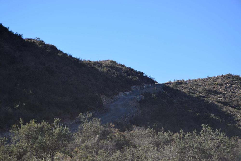 116882355_3248731165170066_3365577644394923145_o