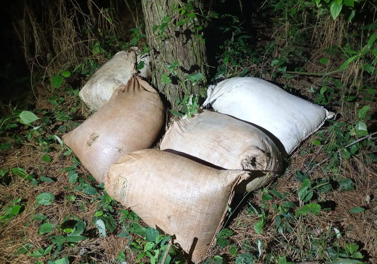 235135_kg_marihuana_misiones_1