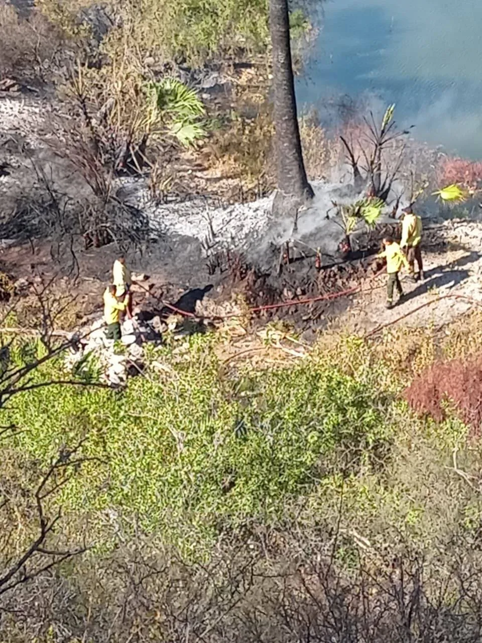 564001669_1239239728230981_7926012875792204642_n