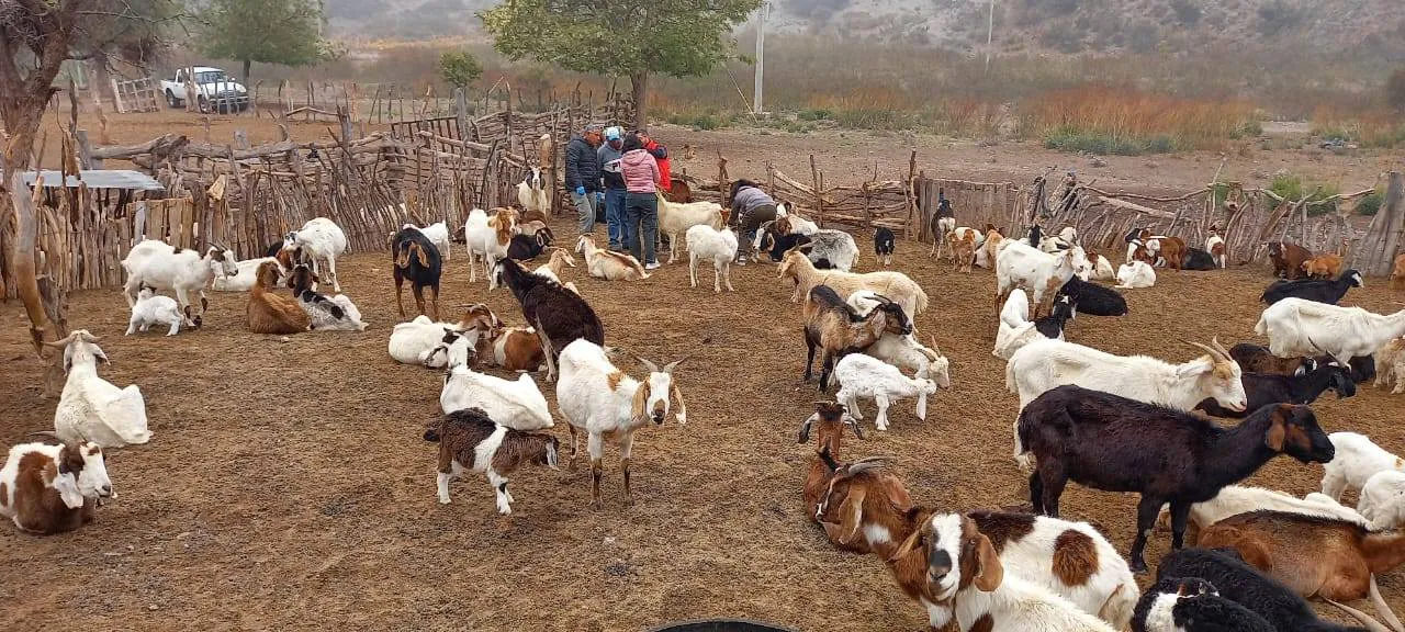 571412374_1254969943324626_2392972887653156335_n