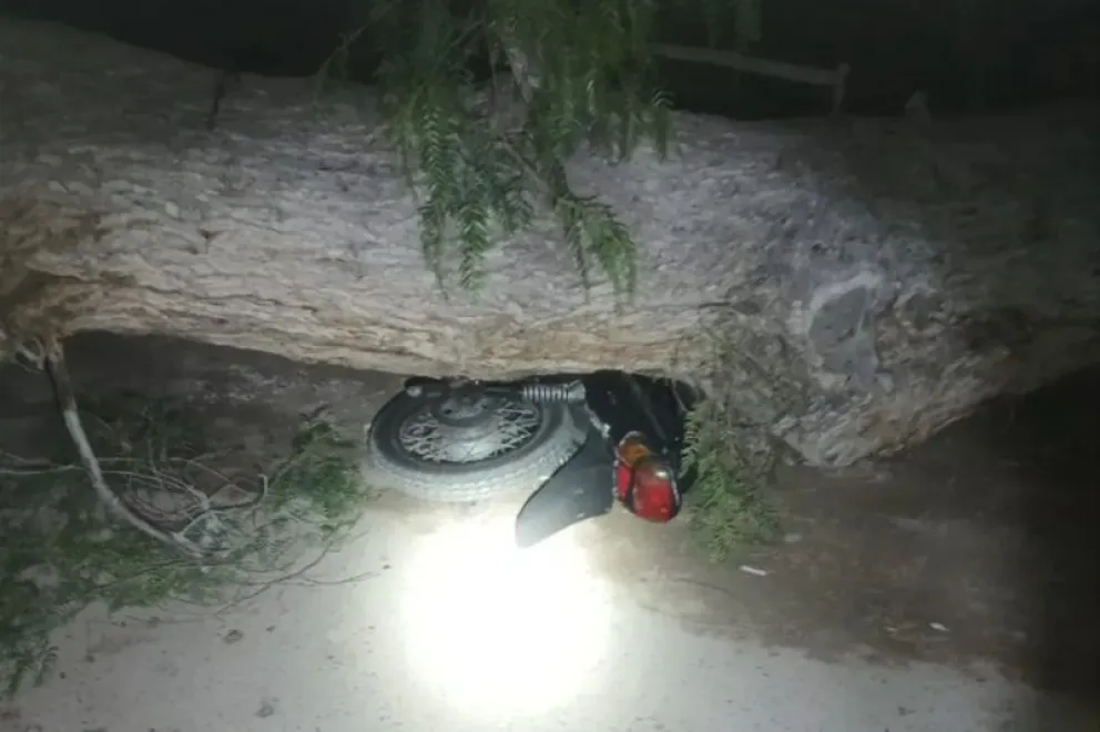 md - 2025-11-01T122147.988