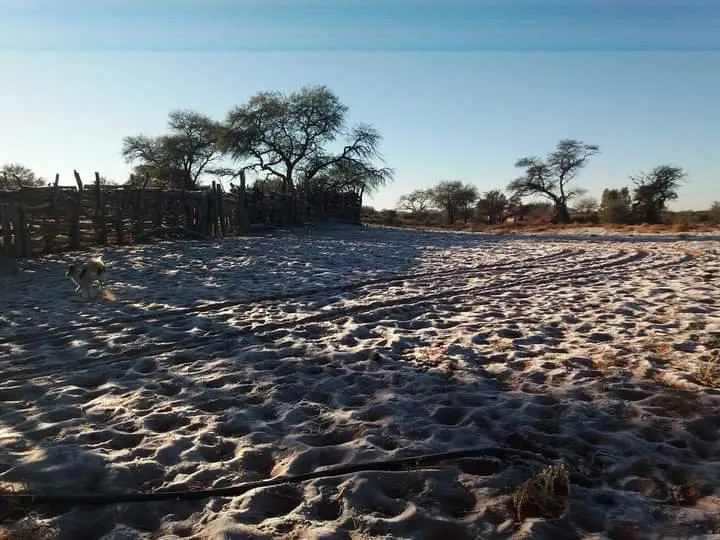 multimedia.normal.ba39b3fe35b30e84.46425f494d475f313632343238393039383236385f6e6f726d616c2e6a7067