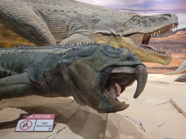 Ischigualasto-Valle-de-la-Luna-dinosaurios-19-728x546