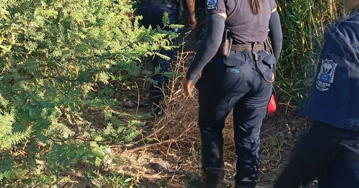 whatsapp-image-2025-02-12-at-190021-1jpeg (1)