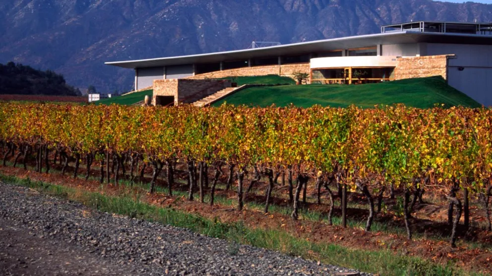 md - 2026-01-23T132446.711