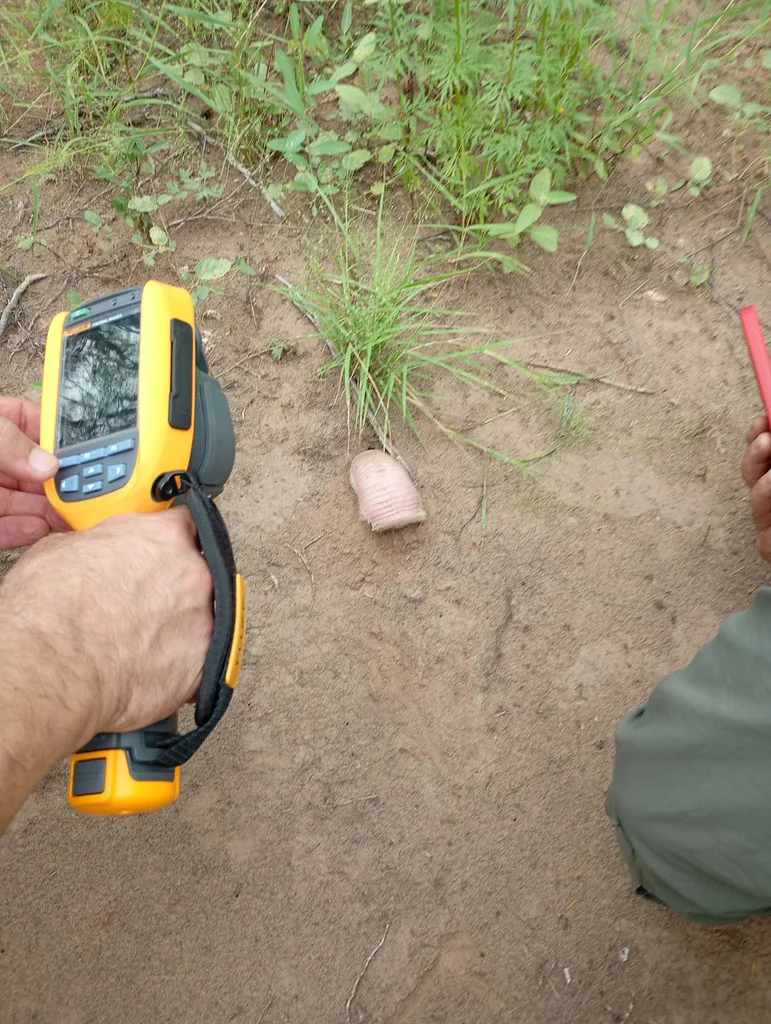 55152903703_a364a04db8_b