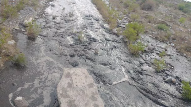 f608x342-323686_353409_31