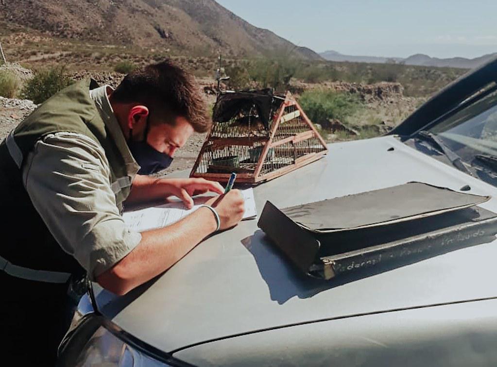 51827044865_c30268f3e4_b