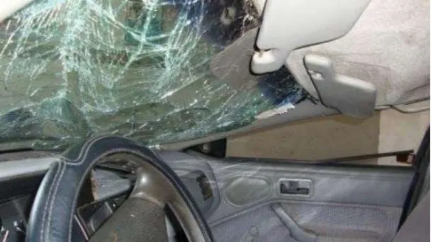 f608x342-363137_392860_2