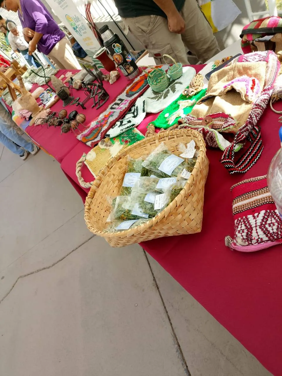 564604303_1240133971474890_4383151272705327014_n