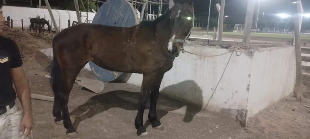 27d27abe-e82d-40bc-af69-fc1b5f2a3a0c