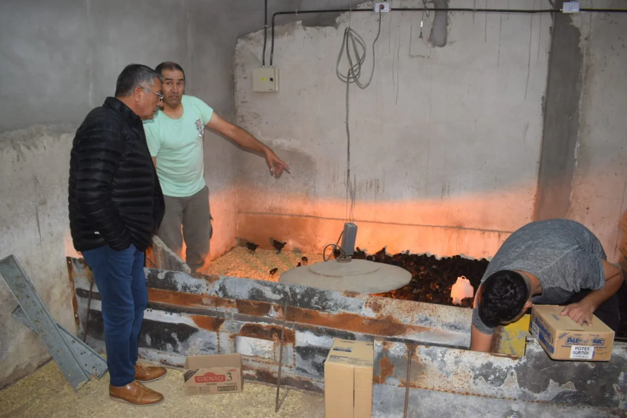 437707140_838387541649537_2708739923304765857_n