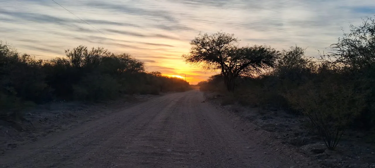 d9b4a392-d700-4322-885e-ae5af728c9da