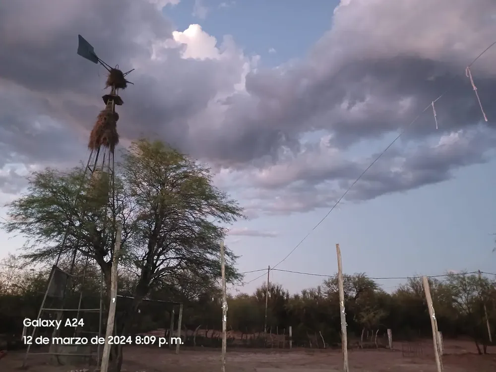 31f6e290-b74c-4734-bf55-b32d3f6db49f