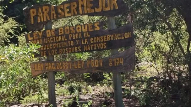 f608x342-371175_400898_31