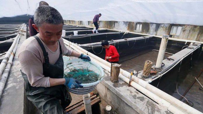 Coronavirus-y-alimentos-696x391