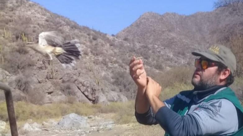 d612533ed21029352aa2c7f3be1bd9ab_L