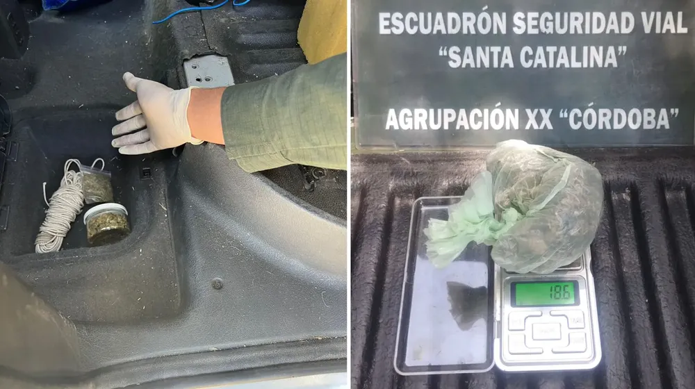 whatsapp_image_2024-11-04_at_15.28.59