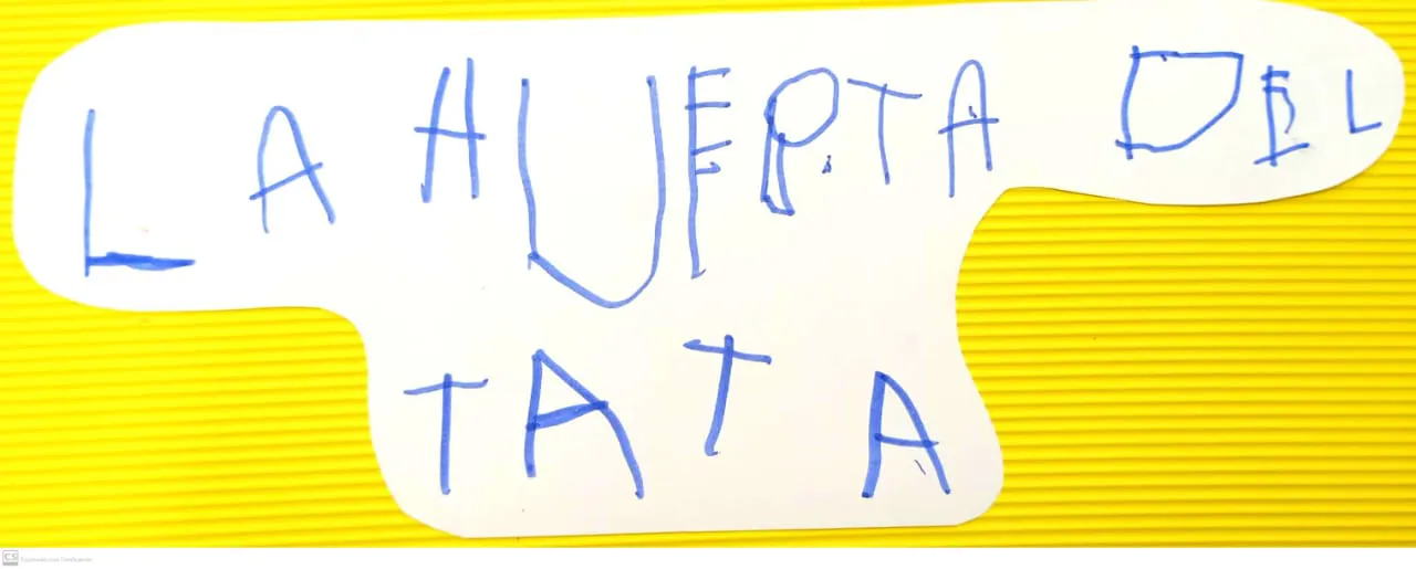 dd6a244b-c702-4469-be8d-c7452488db2c