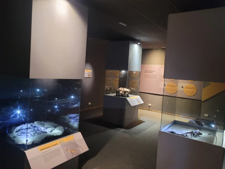 Ischigualasto-Valle-de-la-Luna-dinosaurios-7-728x546