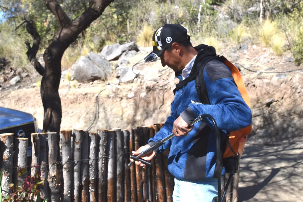 54782158911_effb4f3aca_b