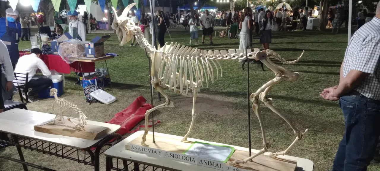 a68ef7de-2ead-4814-acc4-ccf9dff26e9a