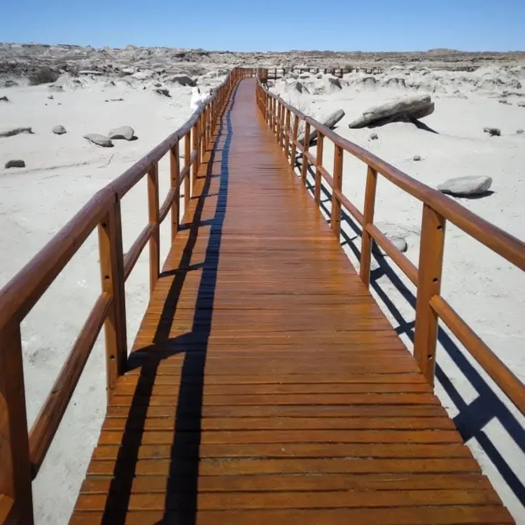 468329977_982986773872508_1529354748834047459_n