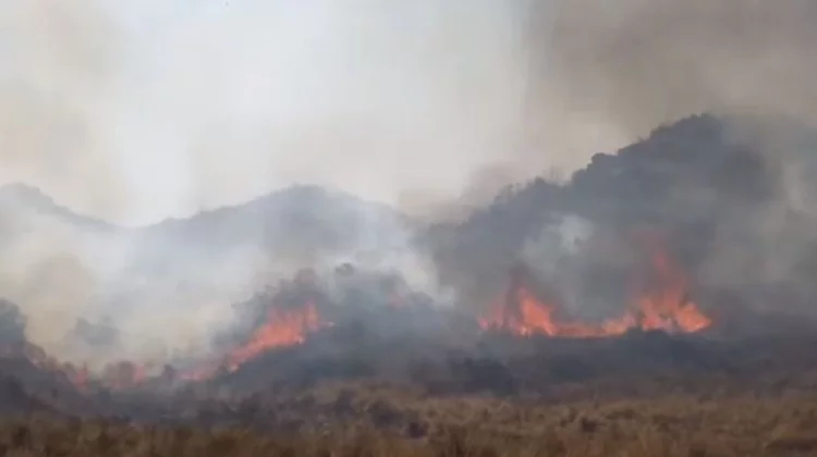 incendio-sierra-4-jpg.