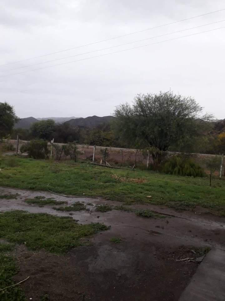 FB_IMG_1605623187421