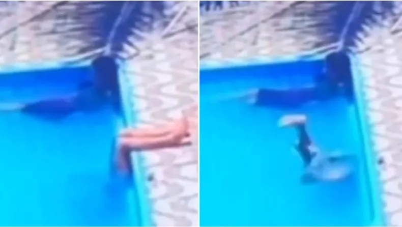 482236w790h446c.jpg (1)