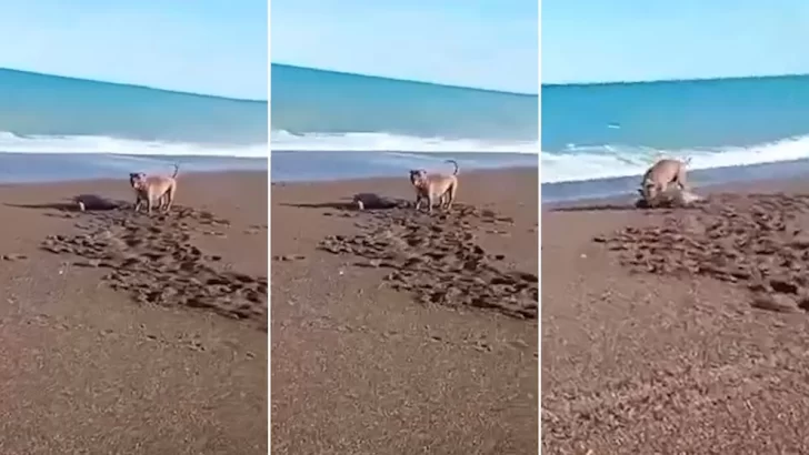 d11874ba-f8ab-42e0-8218-8ec79d97c209-728x410