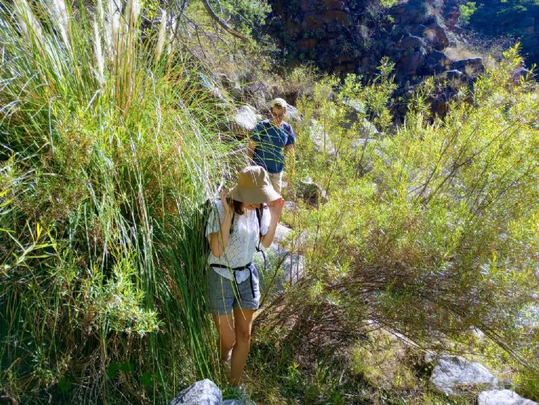 multimedia.normal.a05ddce7db5777e5.6637363878312d3333303135395f3333303238365f353035305f6e6f726d616c2e77656270