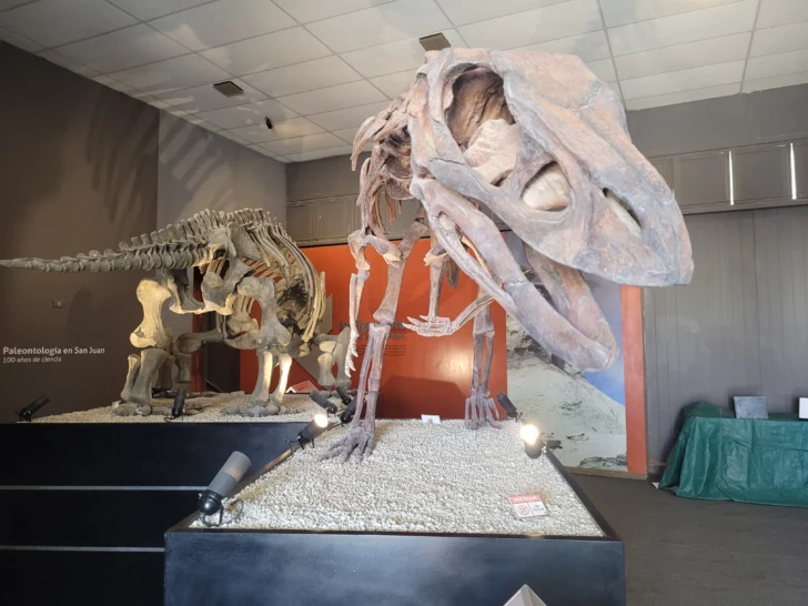 Ischigualasto-Valle-de-la-Luna-dinosaurios-21-728x546