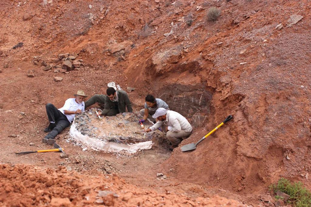 50749167992_9af44362c3_b