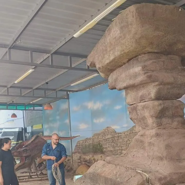 FB_IMG_1732631981791