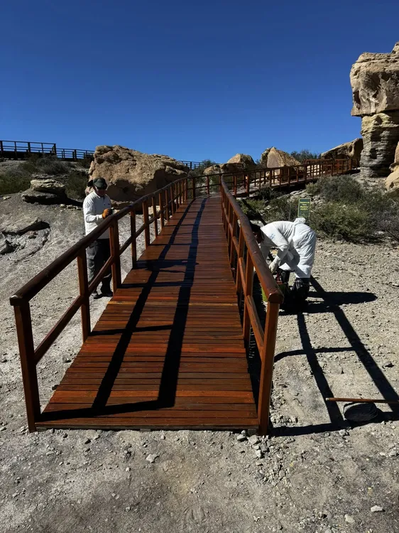 657256981_10240400557341048_5997478700306638802_n