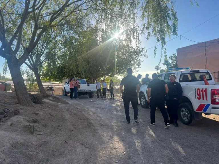 f768x1-367991_368118_5050