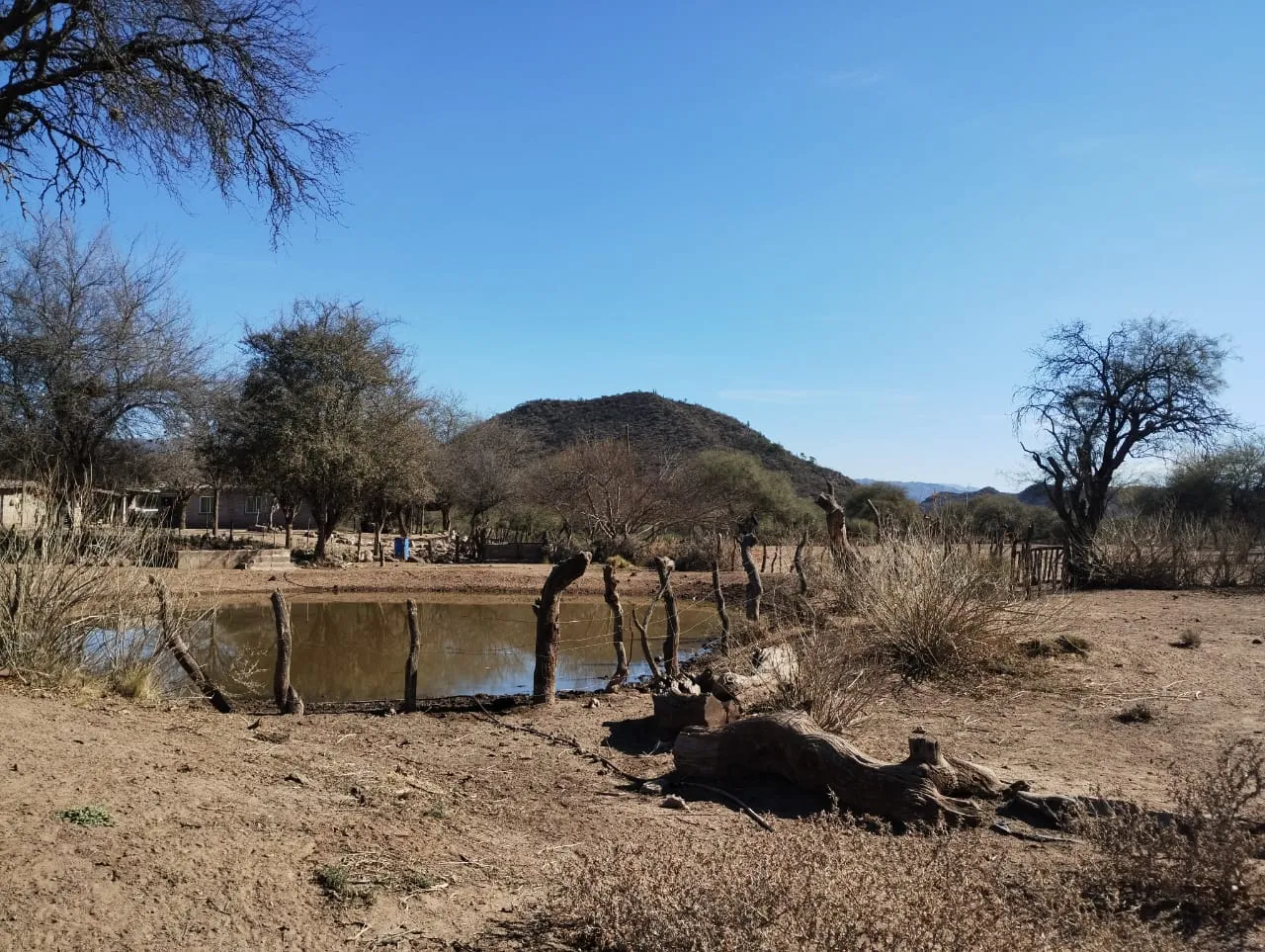 b61a73ab-b0f4-4545-82ba-e8c465e8edd0