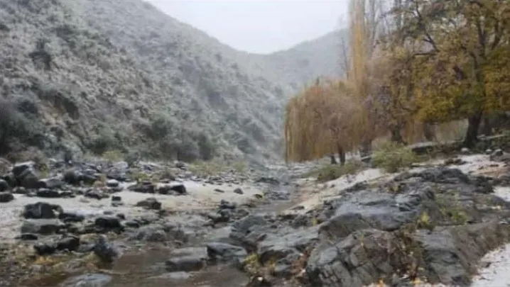 2d7da37b-89e2-438d-b534-34fba29a30d4