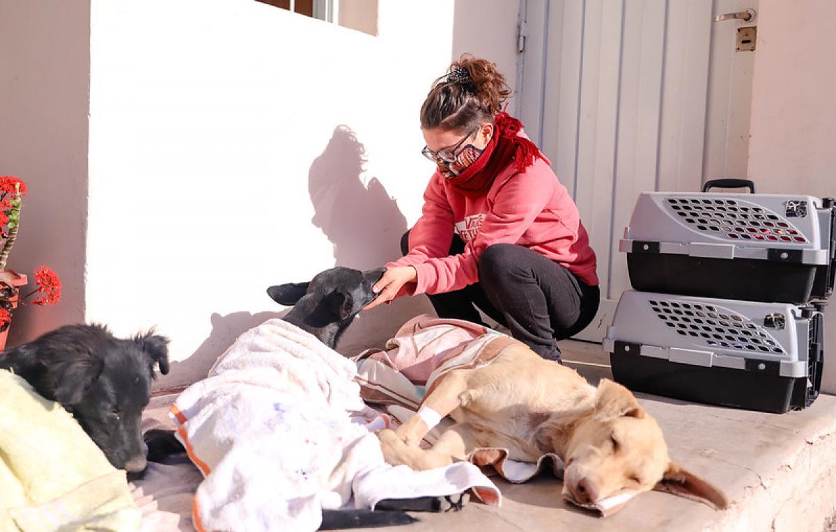 a29f63d5434ec5f210953d95a7c3b8d3_XL