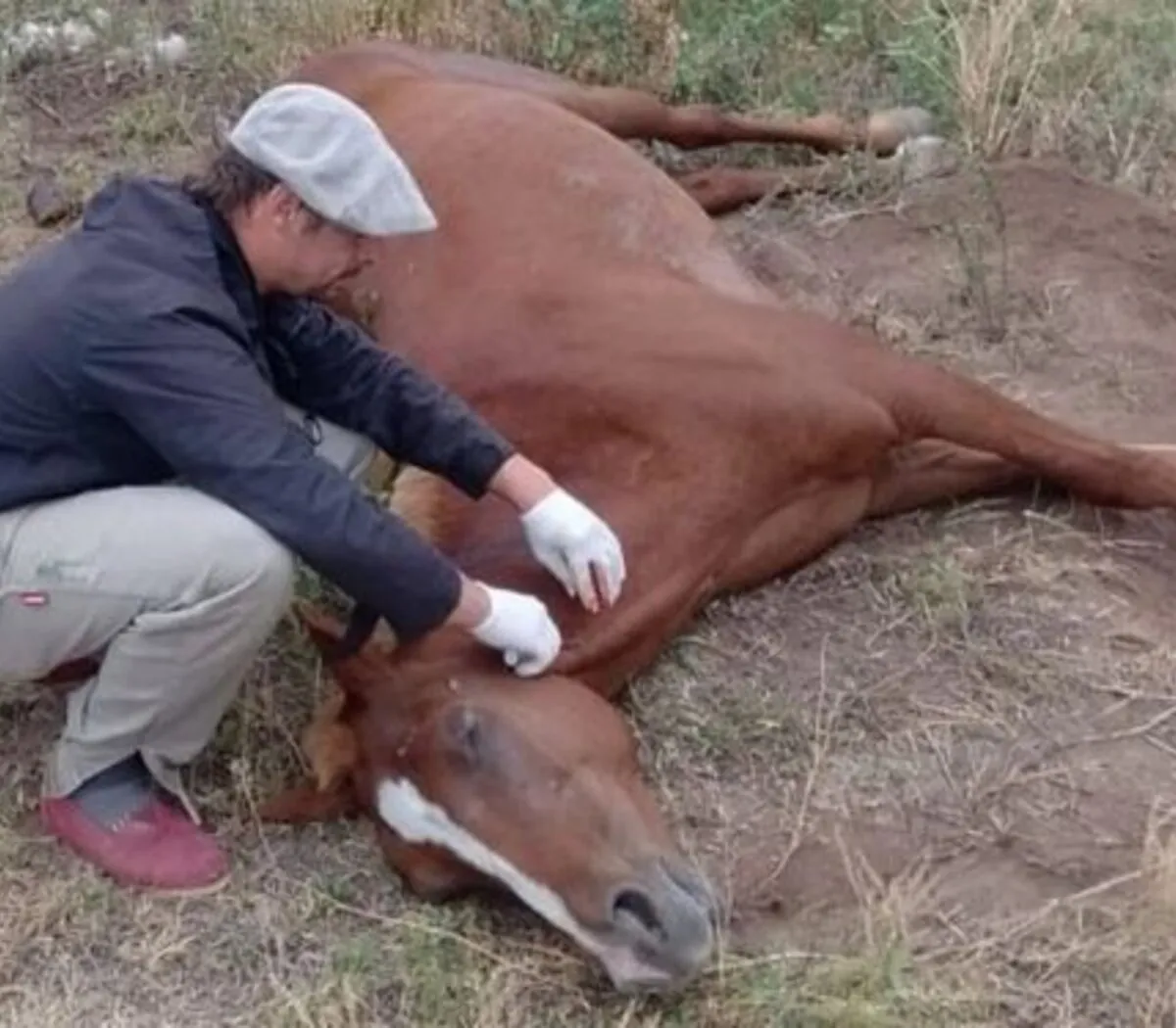 800944-ee-20en-20salta