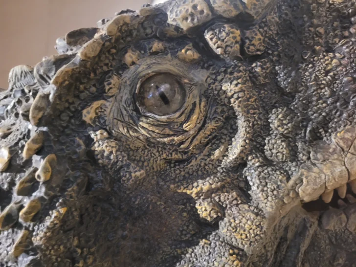 Ischigualasto-Valle-de-la-Luna-dinosaurios-11-728x546