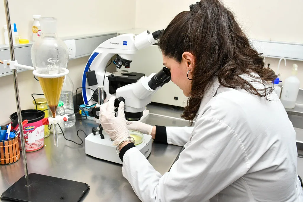 53755261921_9c1719658c_b