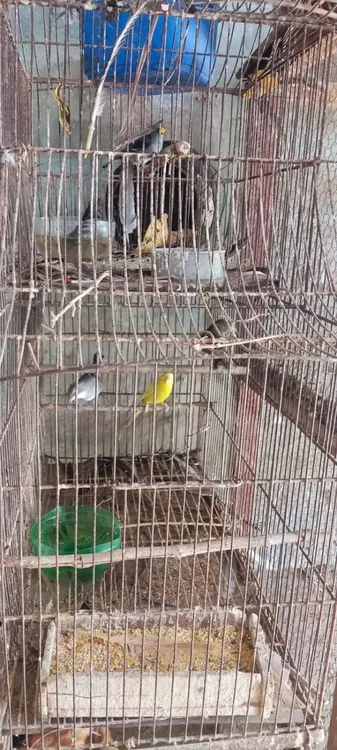 image - 2026-01-27T212855.231