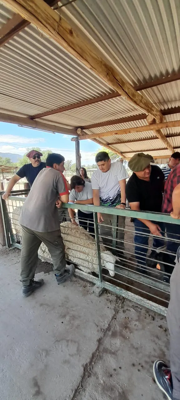 577878741_1240918284733198_6948450420308473467_n