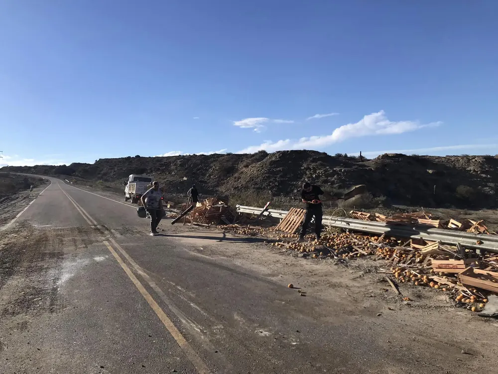 413951102_10230647343116788_2948832489832054734_n