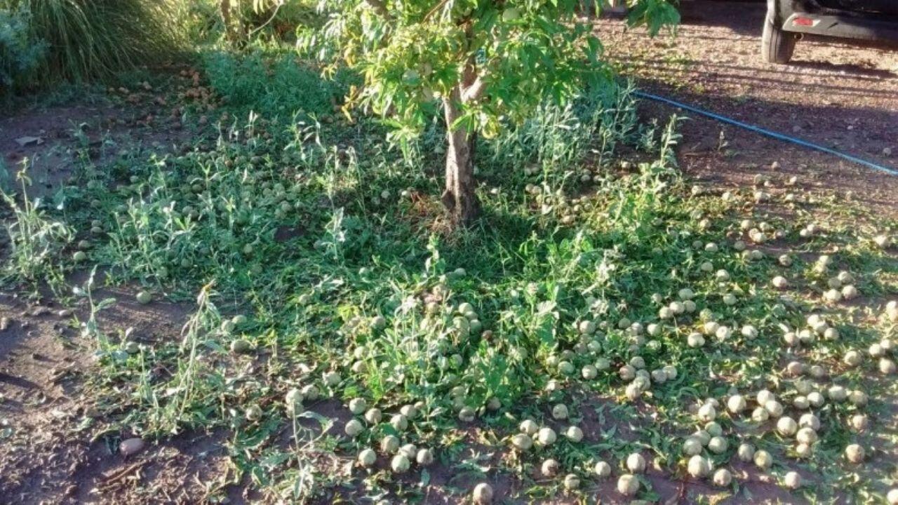 f1280x720-120813_252488_5050