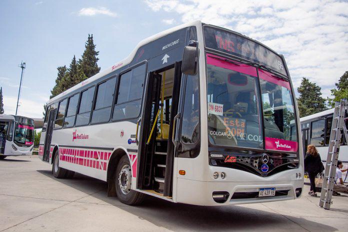 50650154146_344d07bd7b_c-696x464